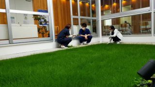 越谷整形外科クリニック の芝とトマト