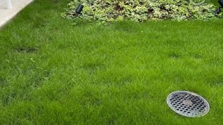 土曜日　2021/07/03