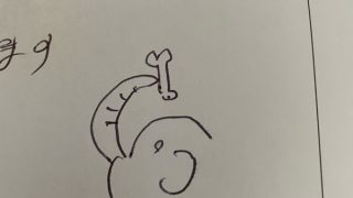 偽ゾウさん 再び