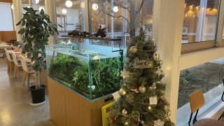 クリスマスあたりのふりかえり