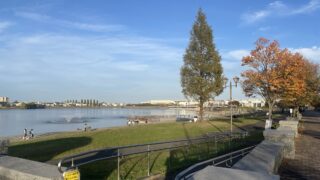 2024年11月前半の出来事