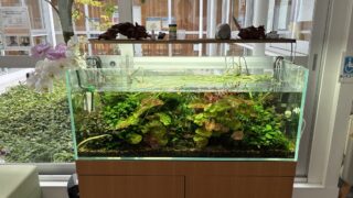 2025年5月、6月の振り返り